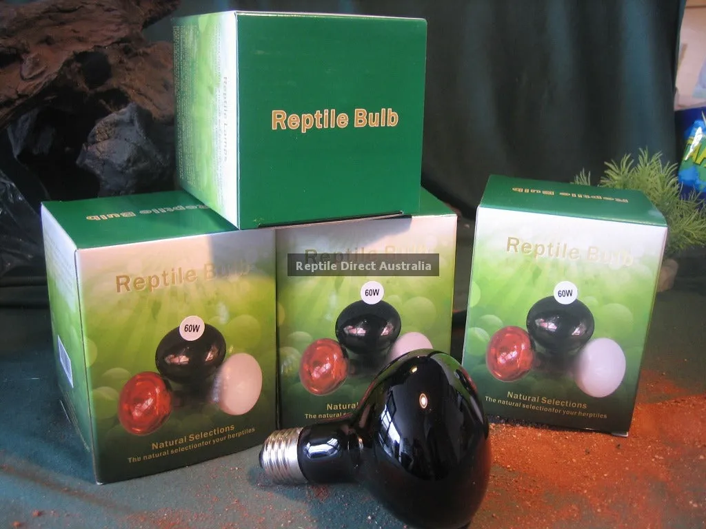 8 x Moonlight Bulb 35W