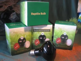 8 x Moonlight Bulb 35W