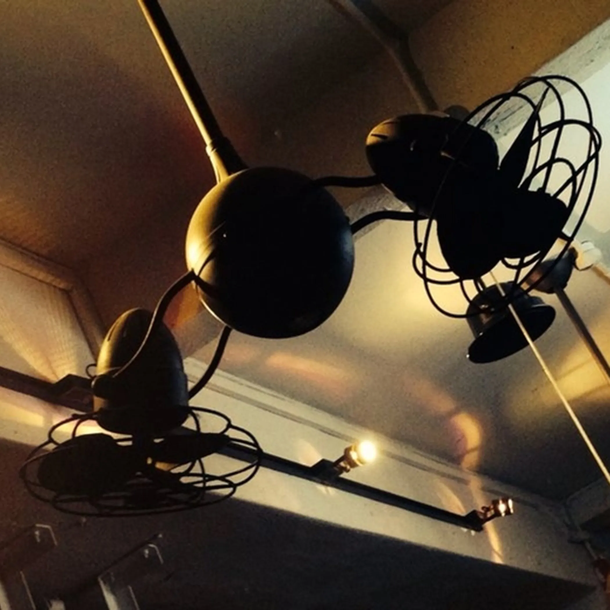 Acqua Ceiling Fan with Light