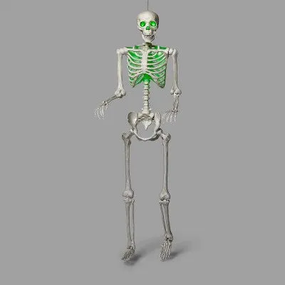 Animated XL Halloween Posable Skeleton - Hyde & EEK! Boutique