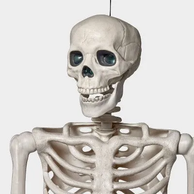 Animated XL Halloween Posable Skeleton - Hyde & EEK! Boutique