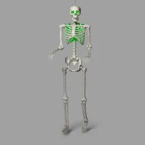 Animated XL Halloween Posable Skeleton - Hyde & EEK! Boutique