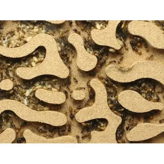 ANTCUBE Starter Set L – 20×20cm – Cork
