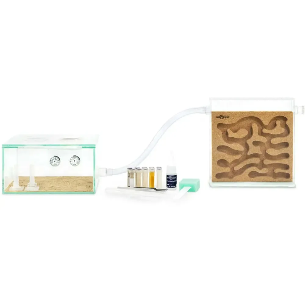 ANTCUBE Starter Set L – 20×20cm – Cork