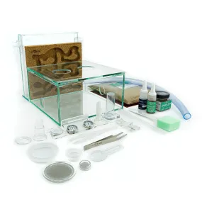 ANTCUBE Starter Set L – 20×20cm – Cork