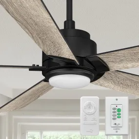 Aspen Ⅱ Smart Ceiling Fan with LED Light and Remote Outdoor/Indoor 48"