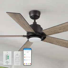 Aspen Ⅱ Smart Ceiling Fan with LED Light and Remote Outdoor/Indoor 48"