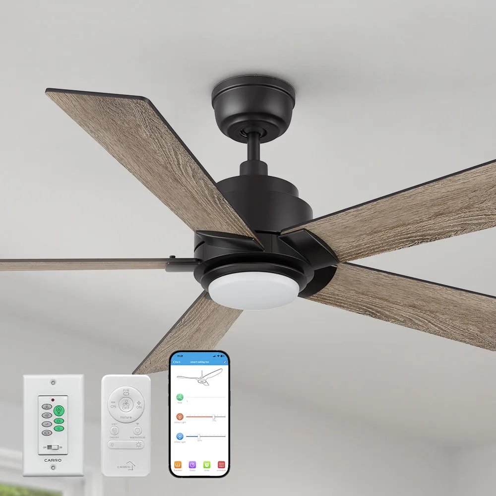 Aspen Ⅱ Smart Ceiling Fan with LED Light and Remote Outdoor/Indoor 48"