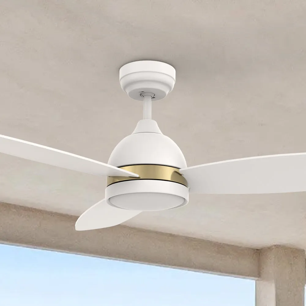 Biscay Smart Ceiling Fan with LED Light and Remote Outdoor/Indoor 48"