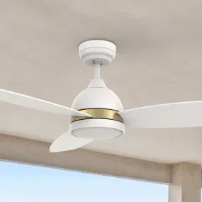 Biscay Smart Ceiling Fan with LED Light and Remote Outdoor/Indoor 48"