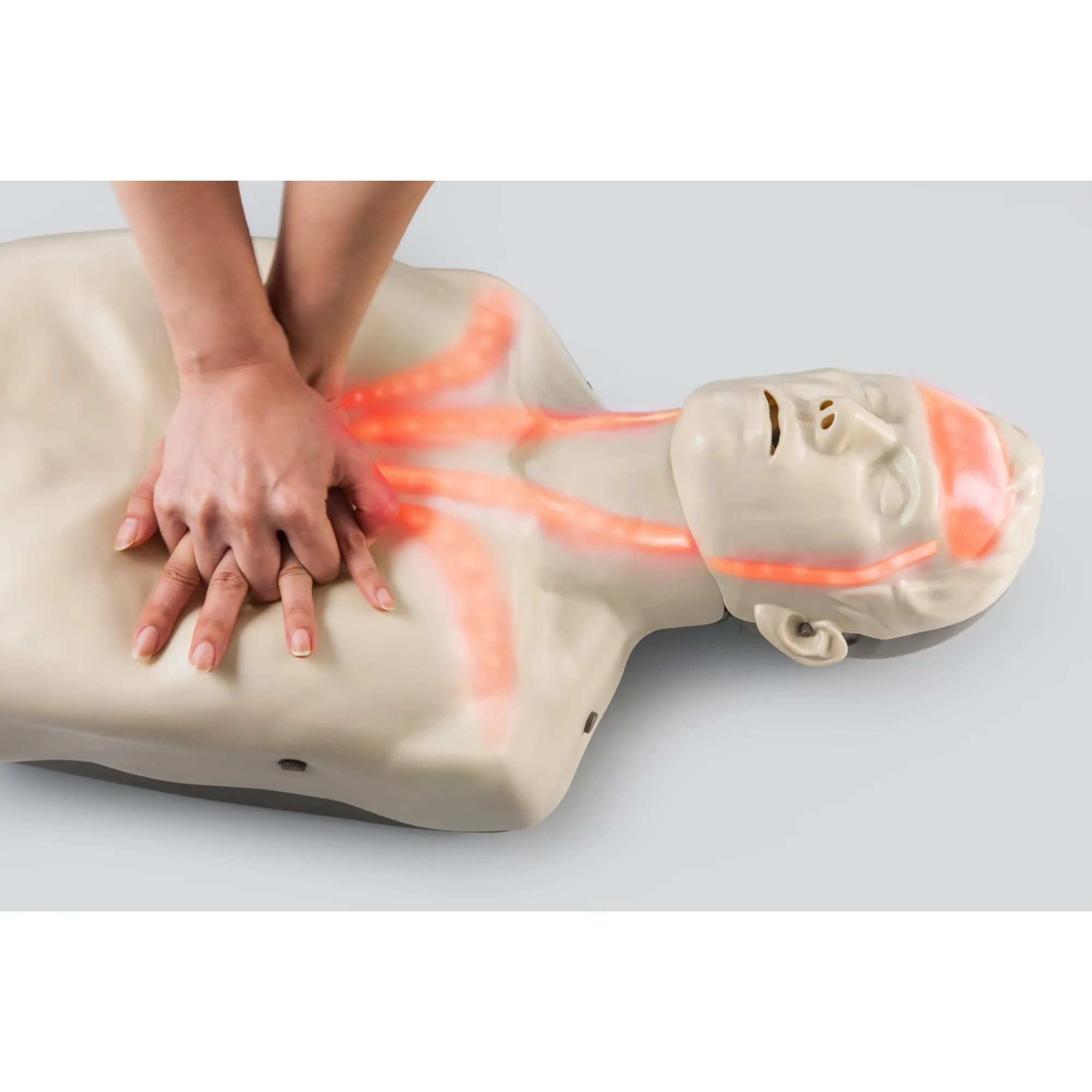 Brayden Adult Pro Manikin - Red Light