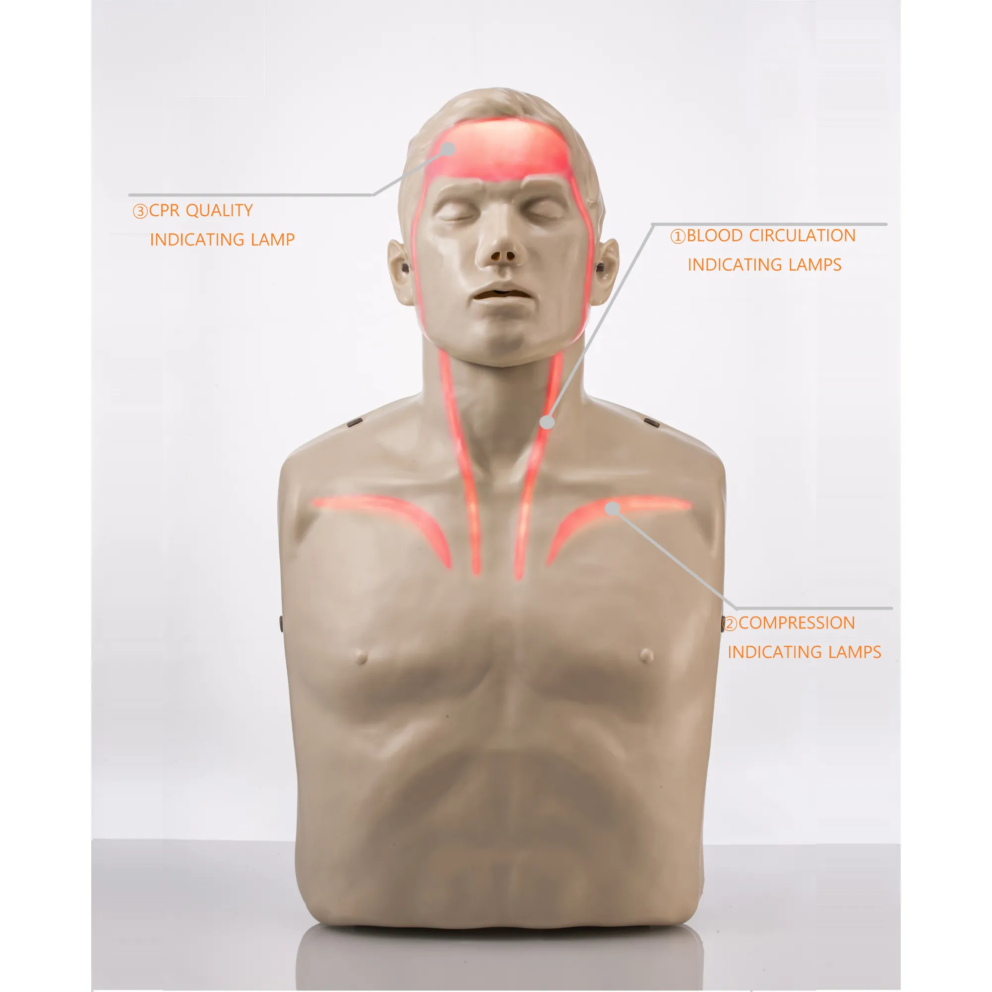 Brayden Adult Pro Manikin - Red Light