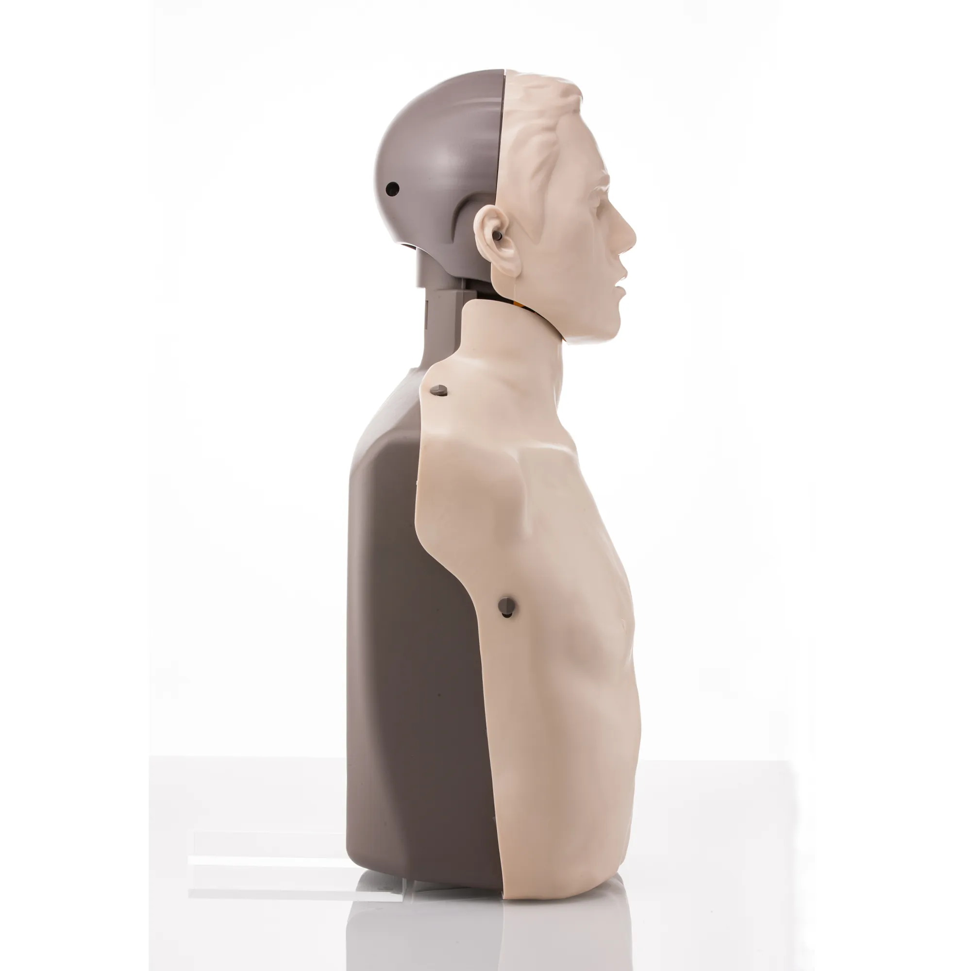Brayden Adult Pro Manikin - Red Light