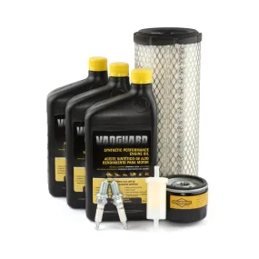 Briggs and Stratton 84002315 Maintenance Kit