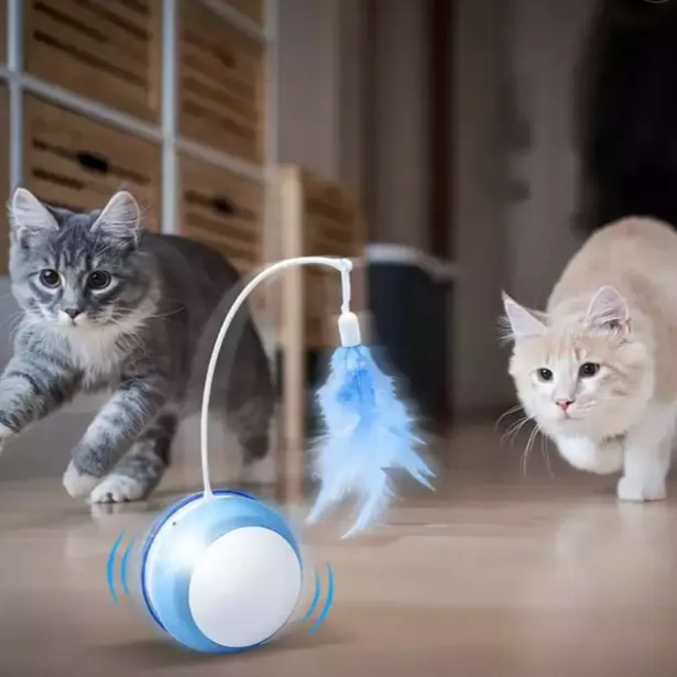 Electric Rolling Ball Cat Teaser