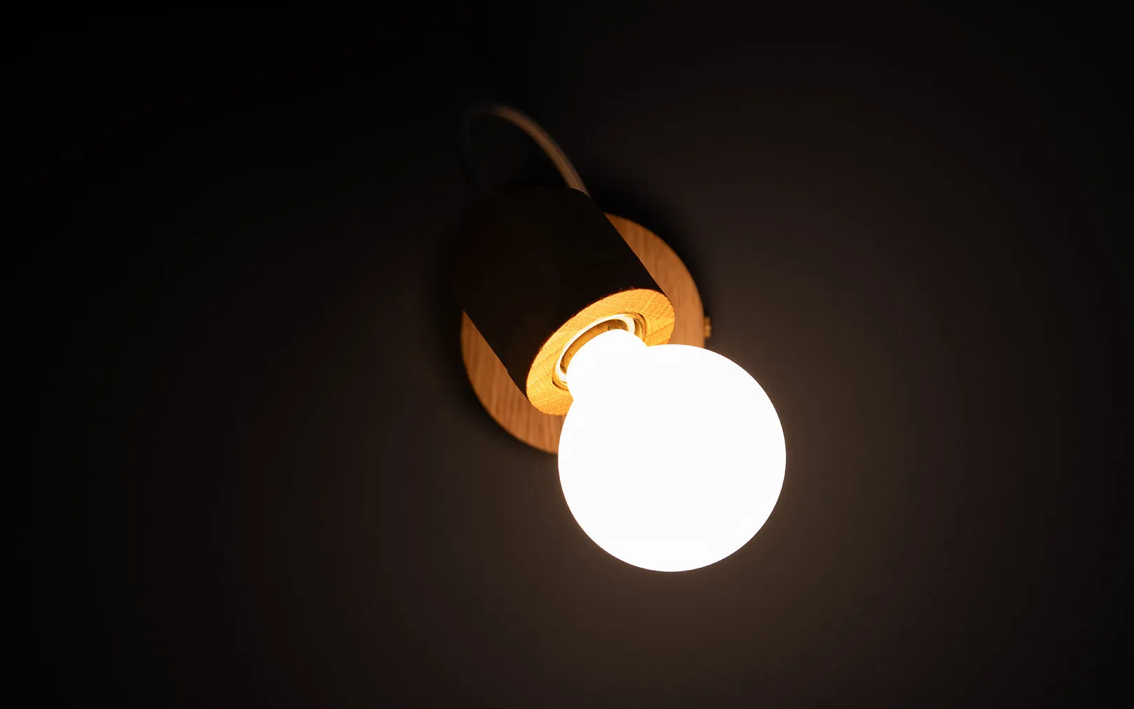 Elin Wall Light