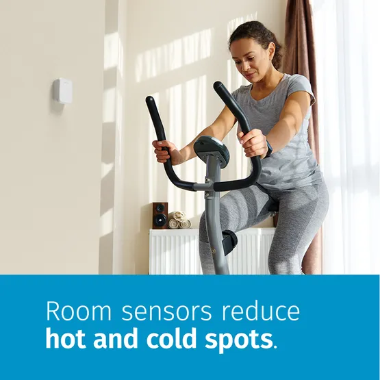 Emerson RS01-SG Remote Room Sensor for use with Sensi™ Touch 2 Thermostats