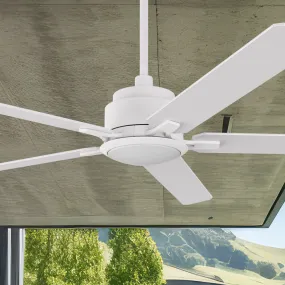 Essex Smart Ceiling Fan Outdoor/Indoor with LED Light and Remote 60"