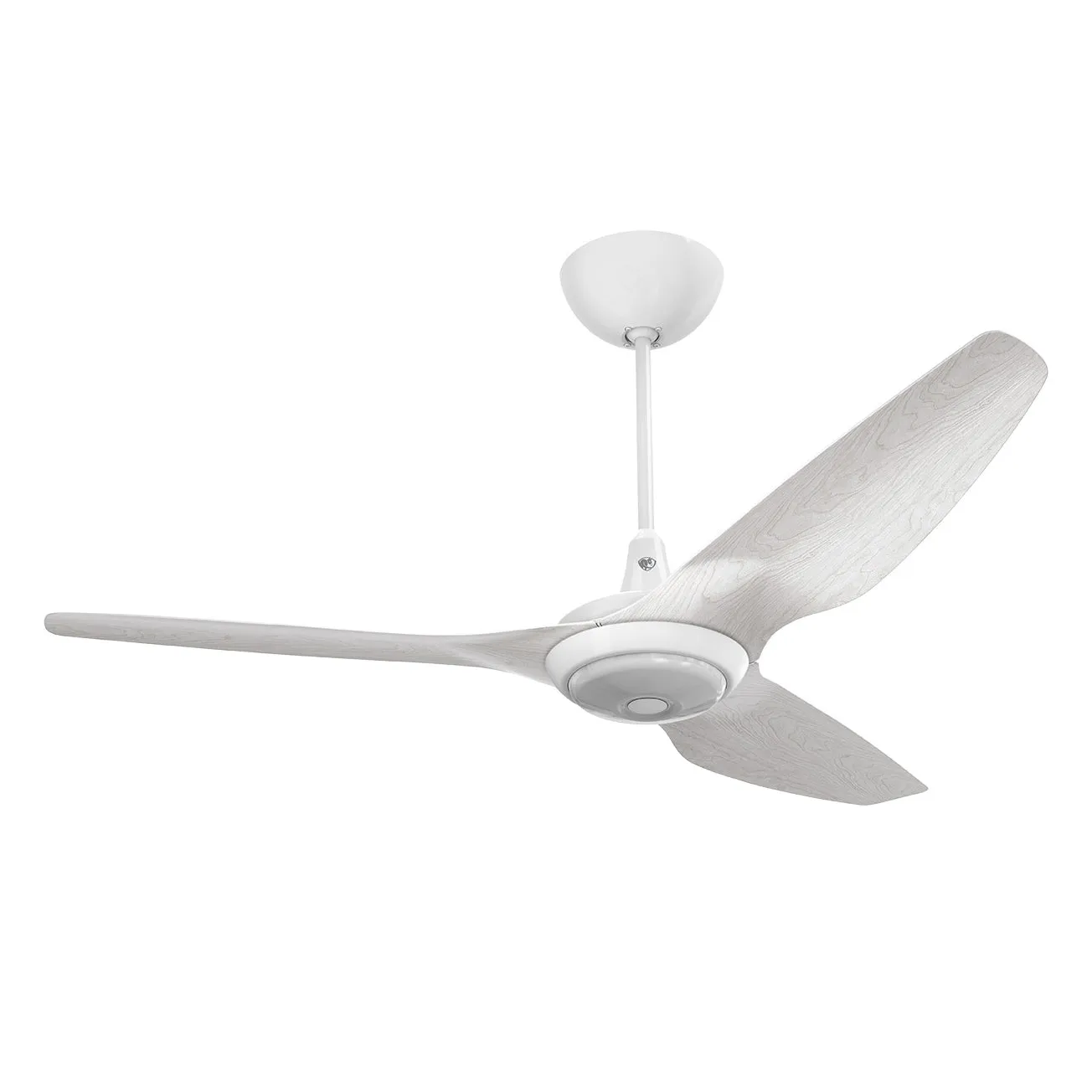 Haiku 60 Outdoor Universal Mount Ceiling Fan