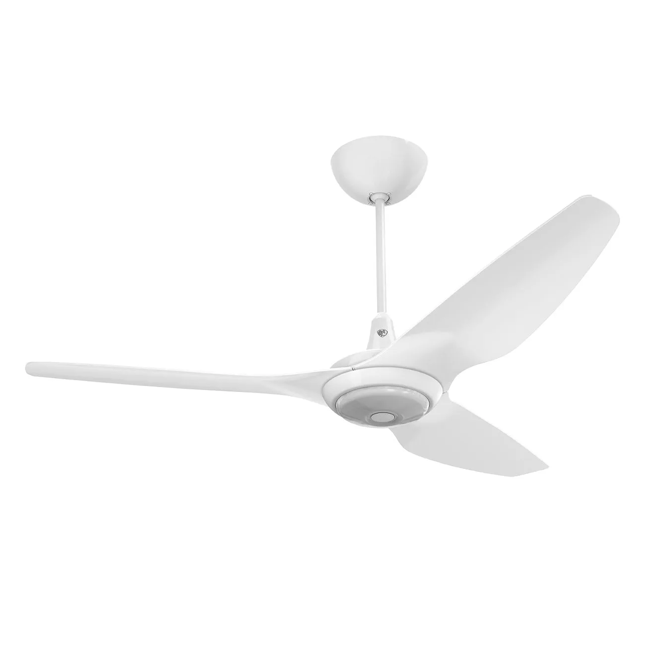 Haiku 60 Outdoor Universal Mount Ceiling Fan