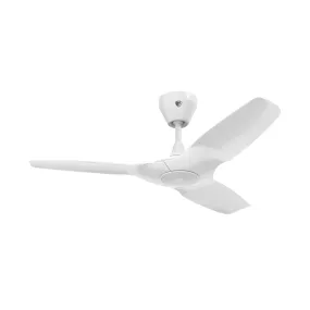 Haiku L Universal Mount Outdoor Ceiling Fan