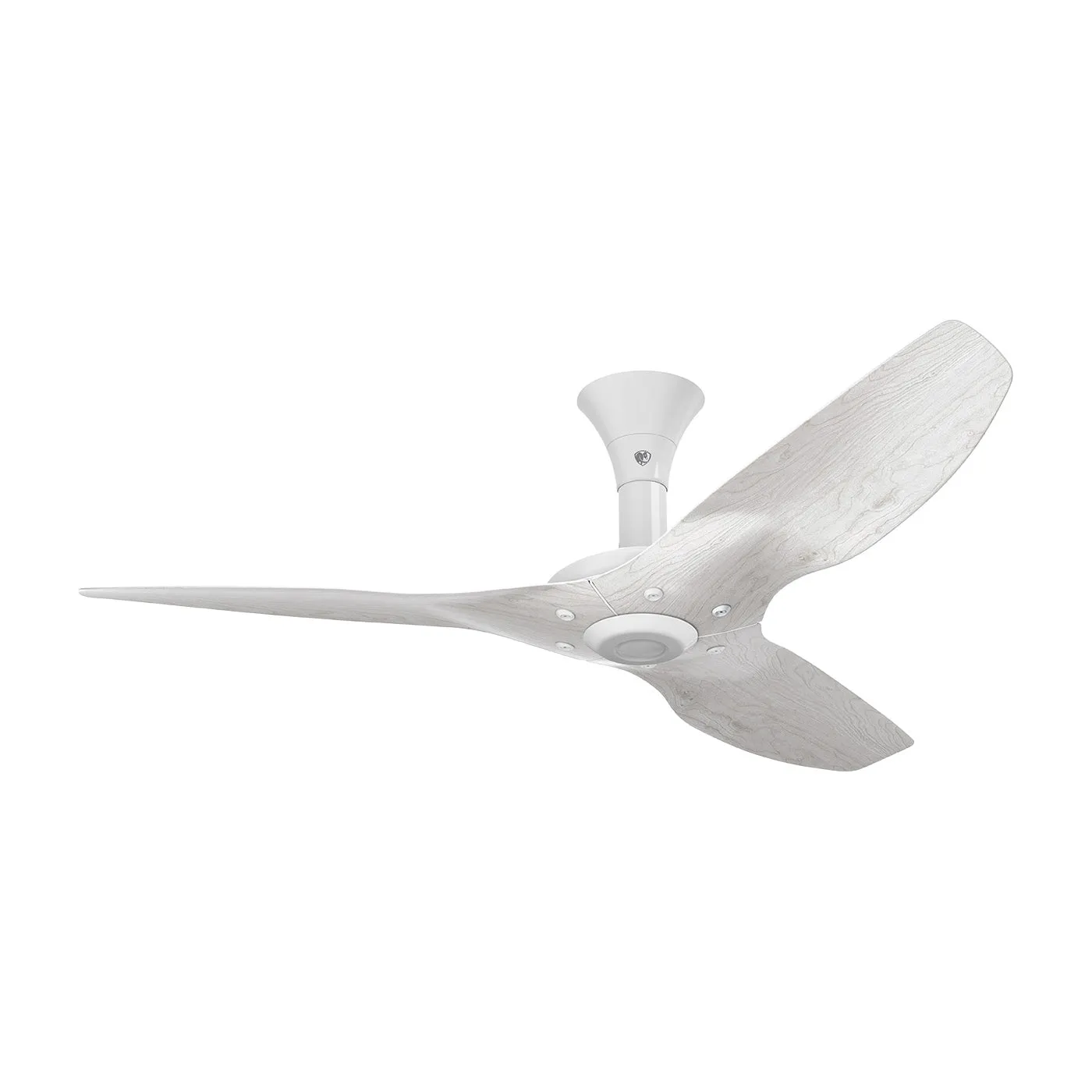 Haiku Low Profile Ceiling Fan