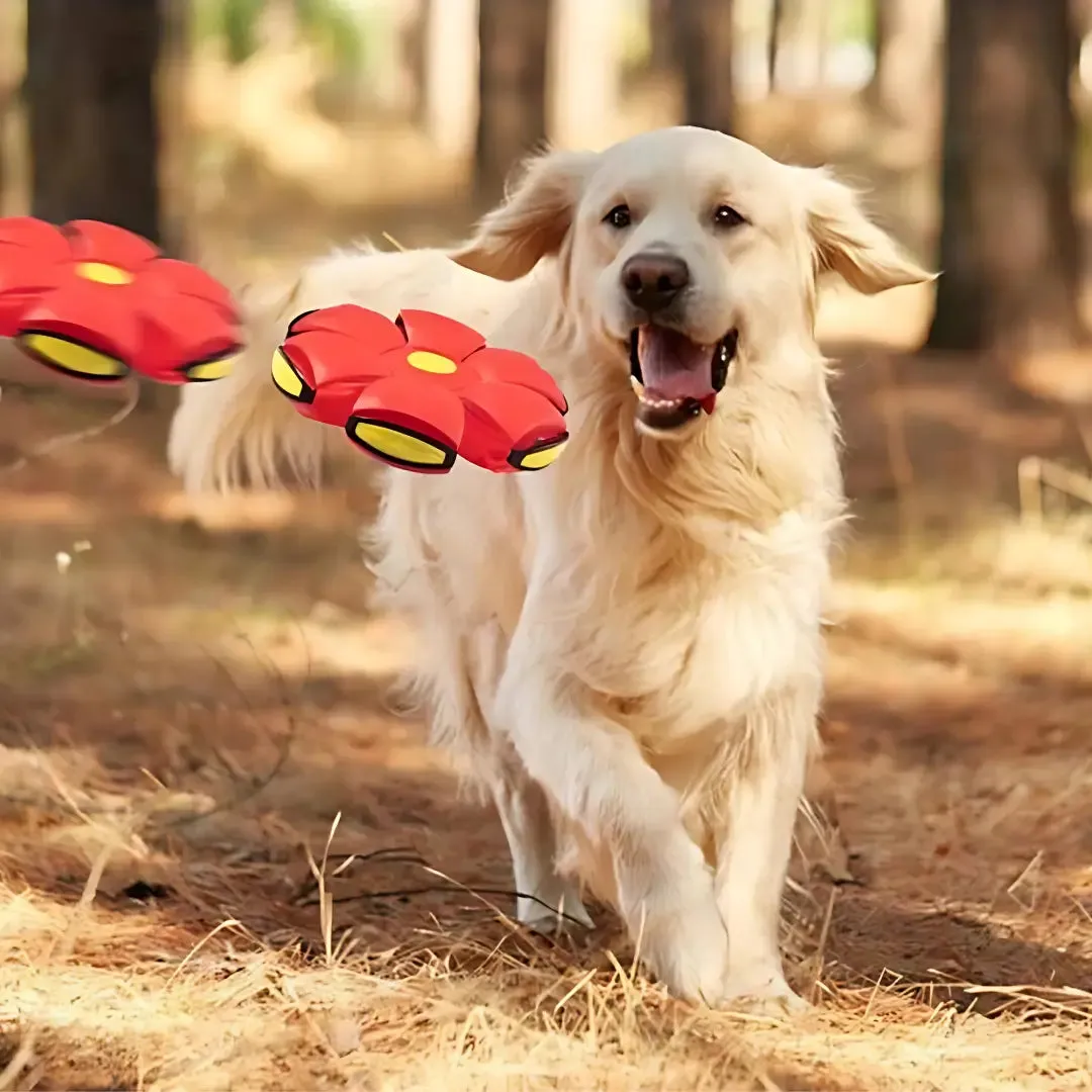Interactive Flying Saucer Ball for Pets Lights & Dual Play Modes