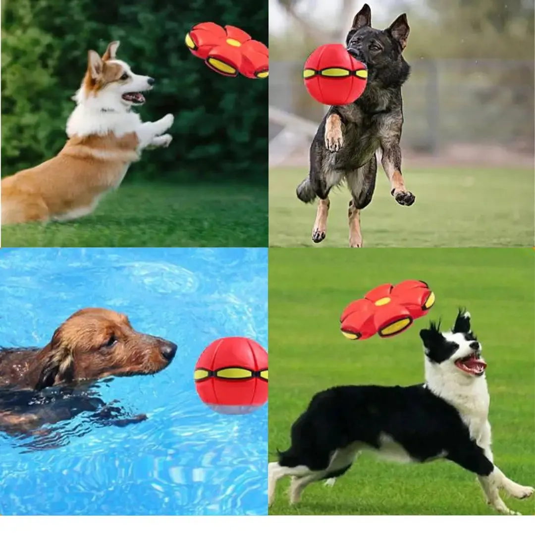 Interactive Flying Saucer Ball for Pets Lights & Dual Play Modes