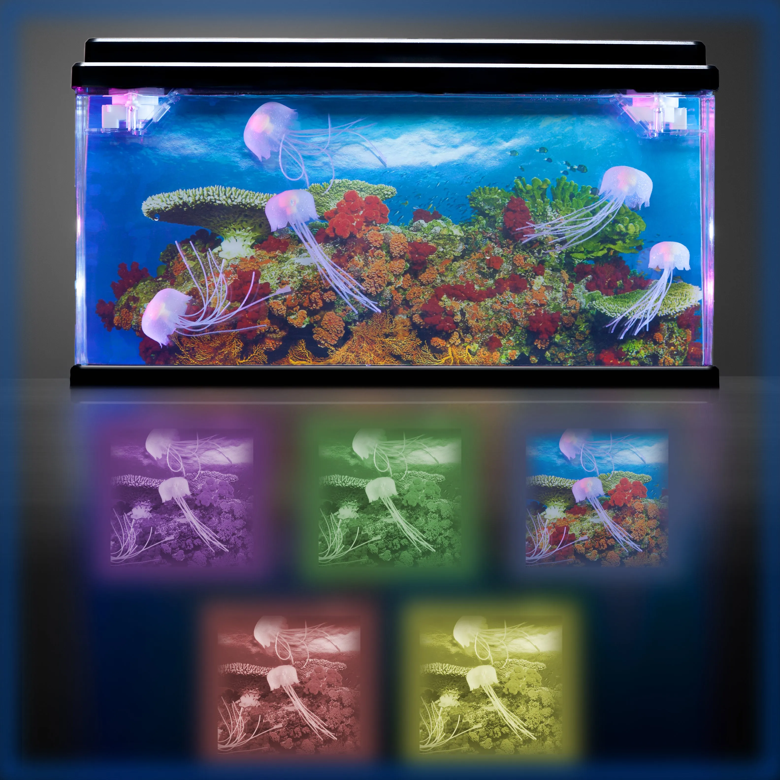 Jelly Fish Tank Large   Adaptor