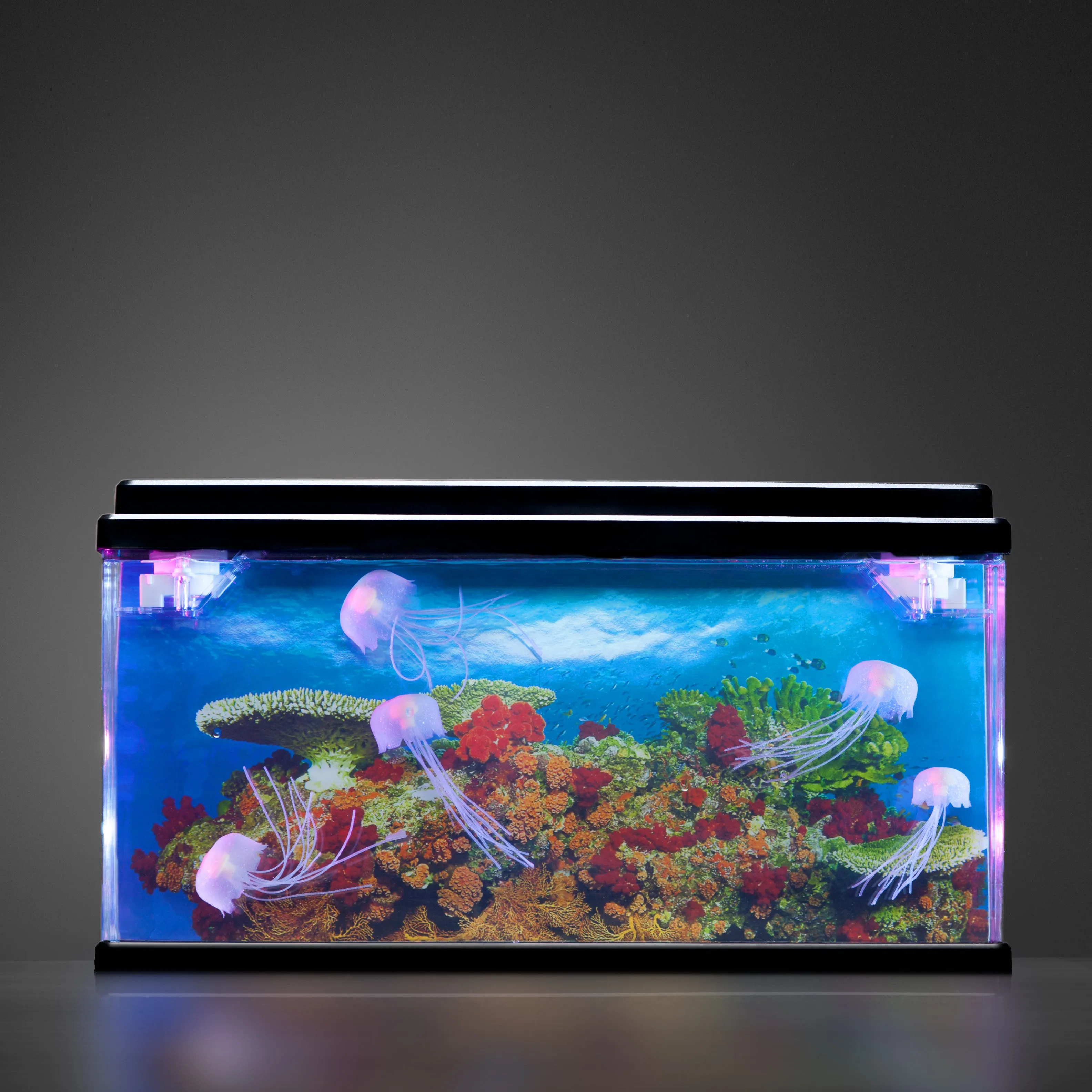 Jelly Fish Tank Large   Adaptor