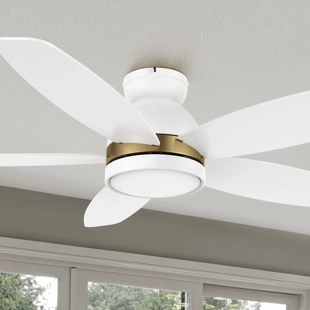 Levi Low Profile Smart Ceiling Fan with Light Remote Outdoor/indoor 48"