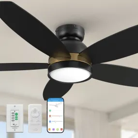 Levi Ⅱ Low Profile Smart Ceiling Fan with Light Remote Outdoor/indoor 48"