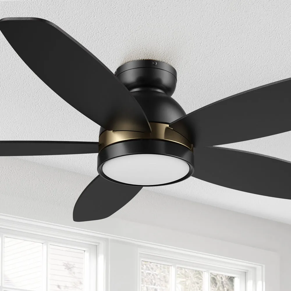 Levi Low Profile Smart Ceiling Fan with Light Remote Outdoor/indoor 48"