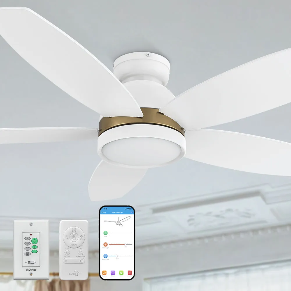 Levi Ⅱ Low Profile Smart Ceiling Fan with Light Remote Outdoor/indoor 48"