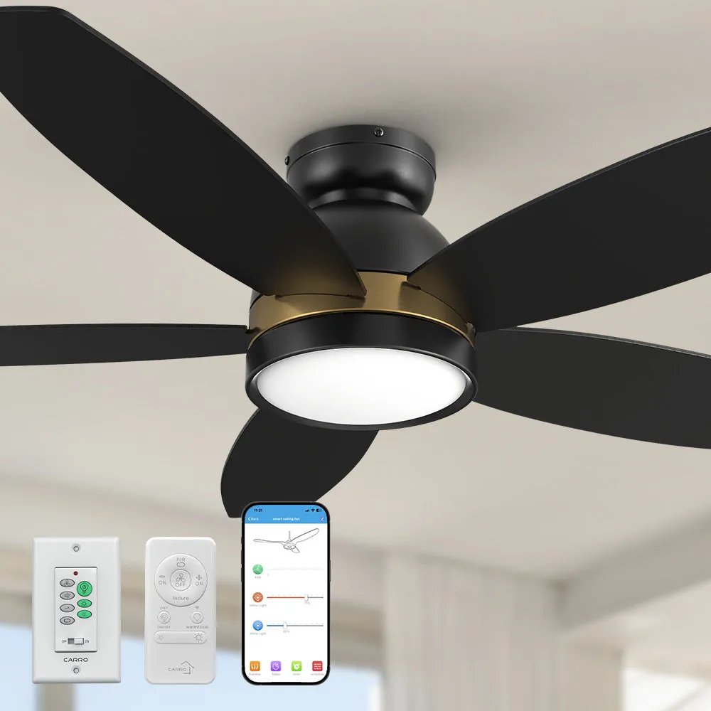 Levi Ⅱ Low Profile Smart Ceiling Fan with Light Remote Outdoor/indoor 48"