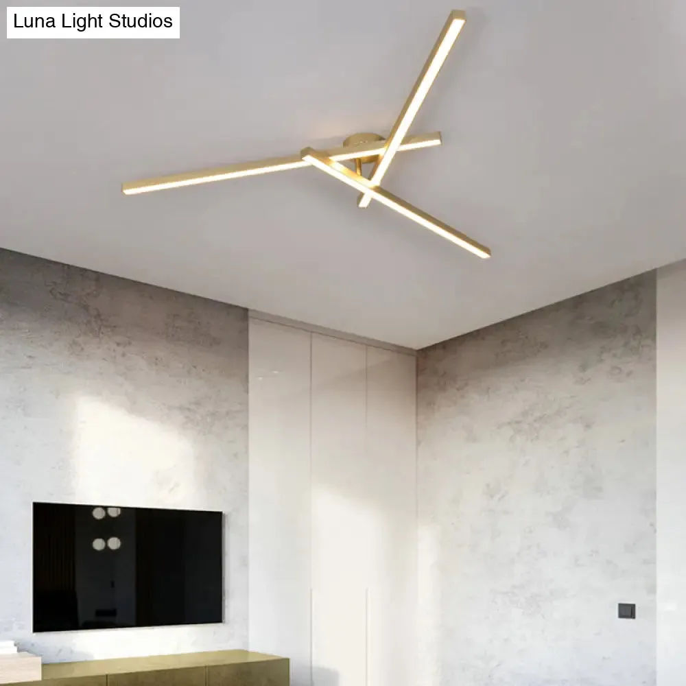 Minimalistic Acrylic LED Ceiling Mount Lamp for Living Room: Radial Flush Light Fixture
