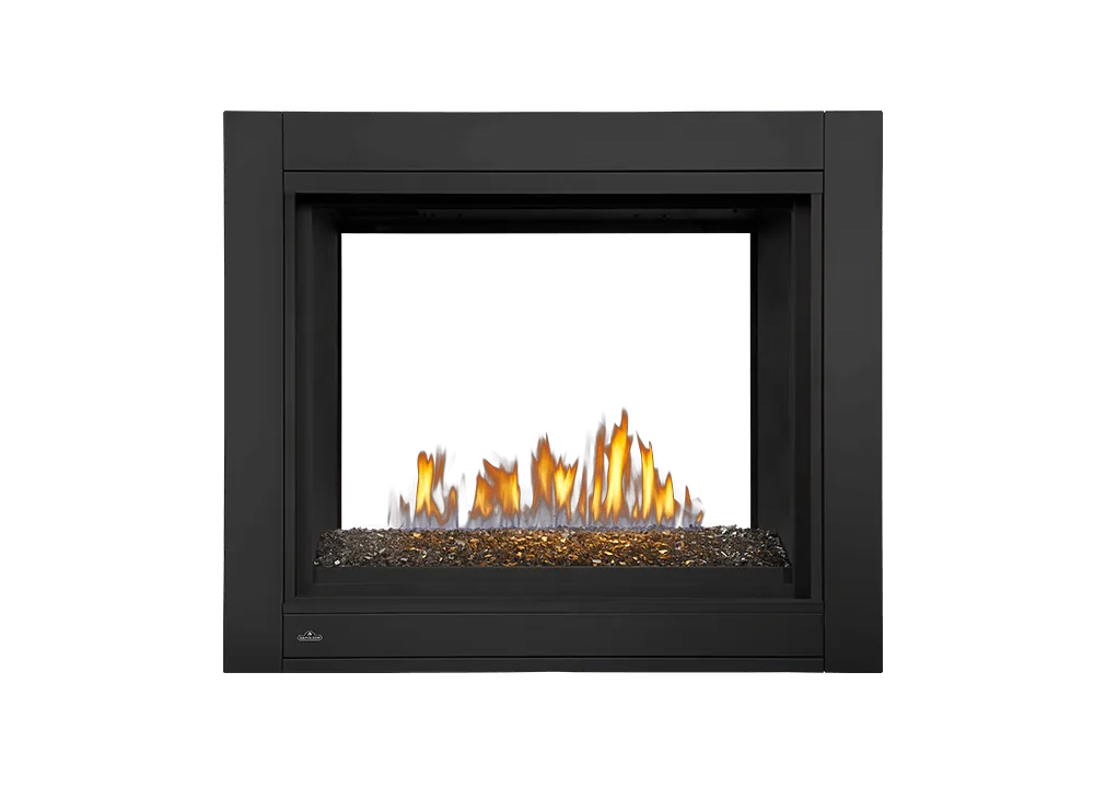 Napoleon Ascent Multi-View 2 Sided Direct Vent Gas Fireplace