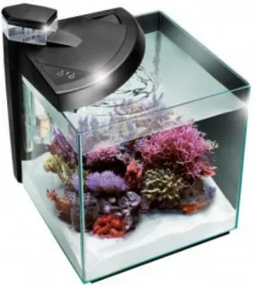 NEWA AQUARIUM