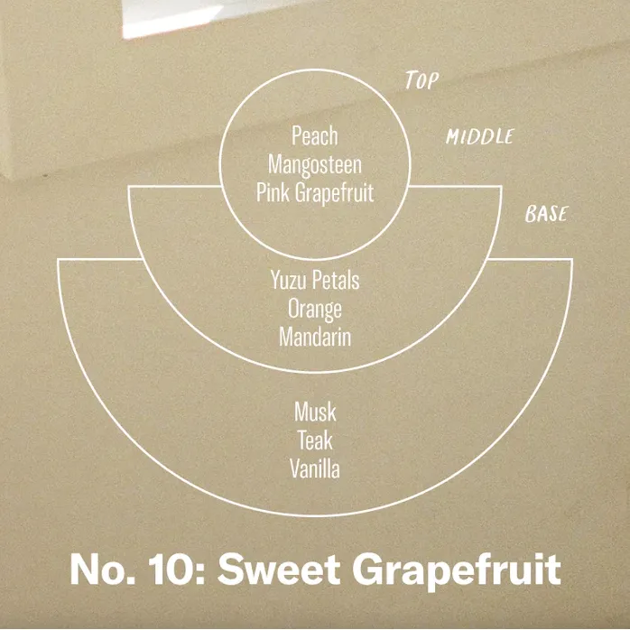 P.F. Candle Co. 3.5 fl oz Reed Diffuser - Sweet Grapefruit