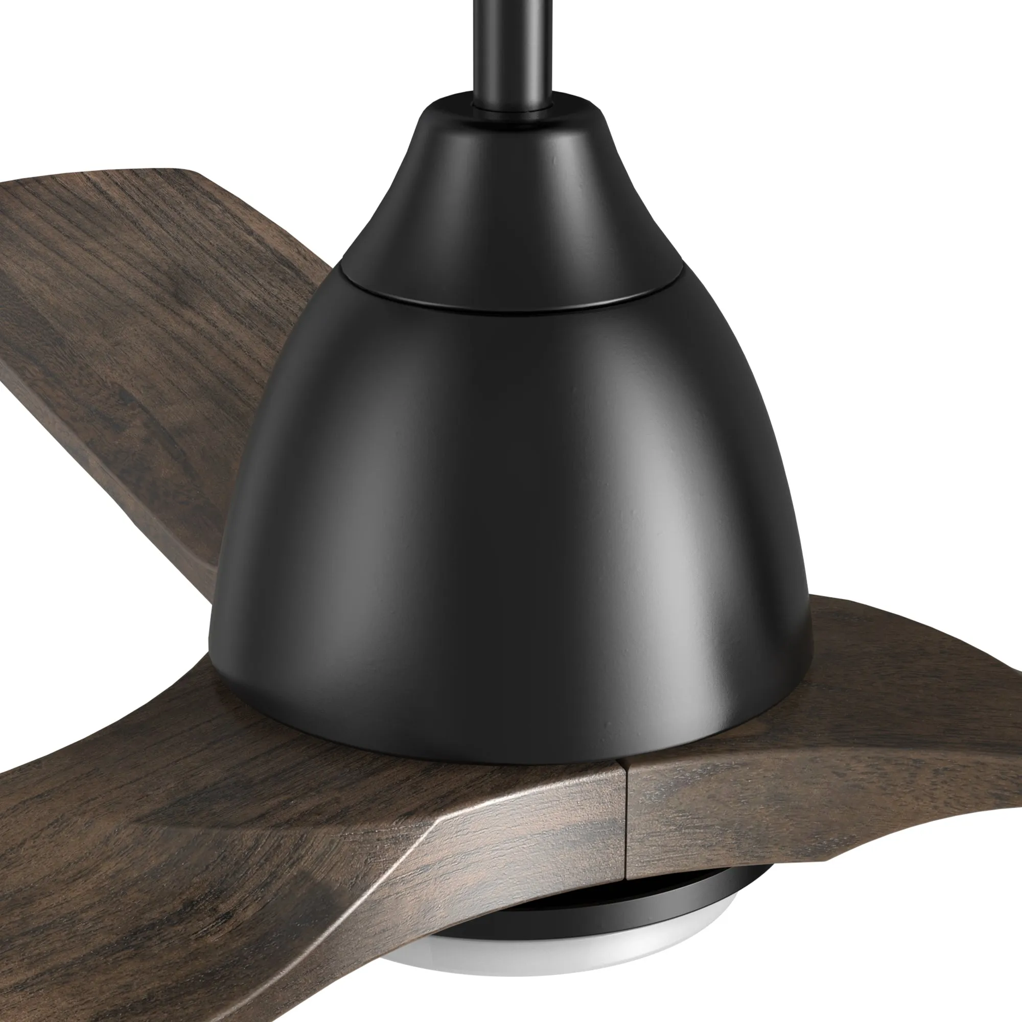 Sawyer Smart Ceiling Fan with LED Light and Remote Outdoor/Indoor 48"