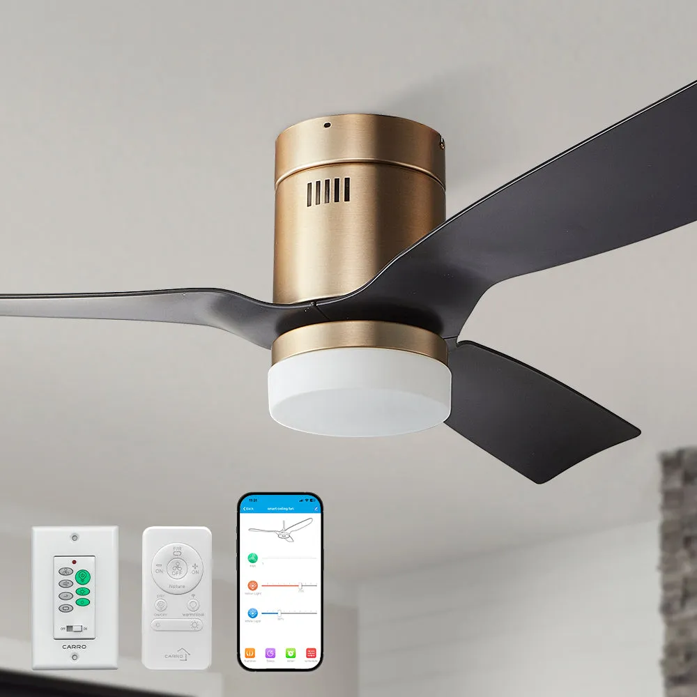 Striver Ⅱ Low Profile Smart Fan with LED light and Remote Outdoor/Indoor 48"