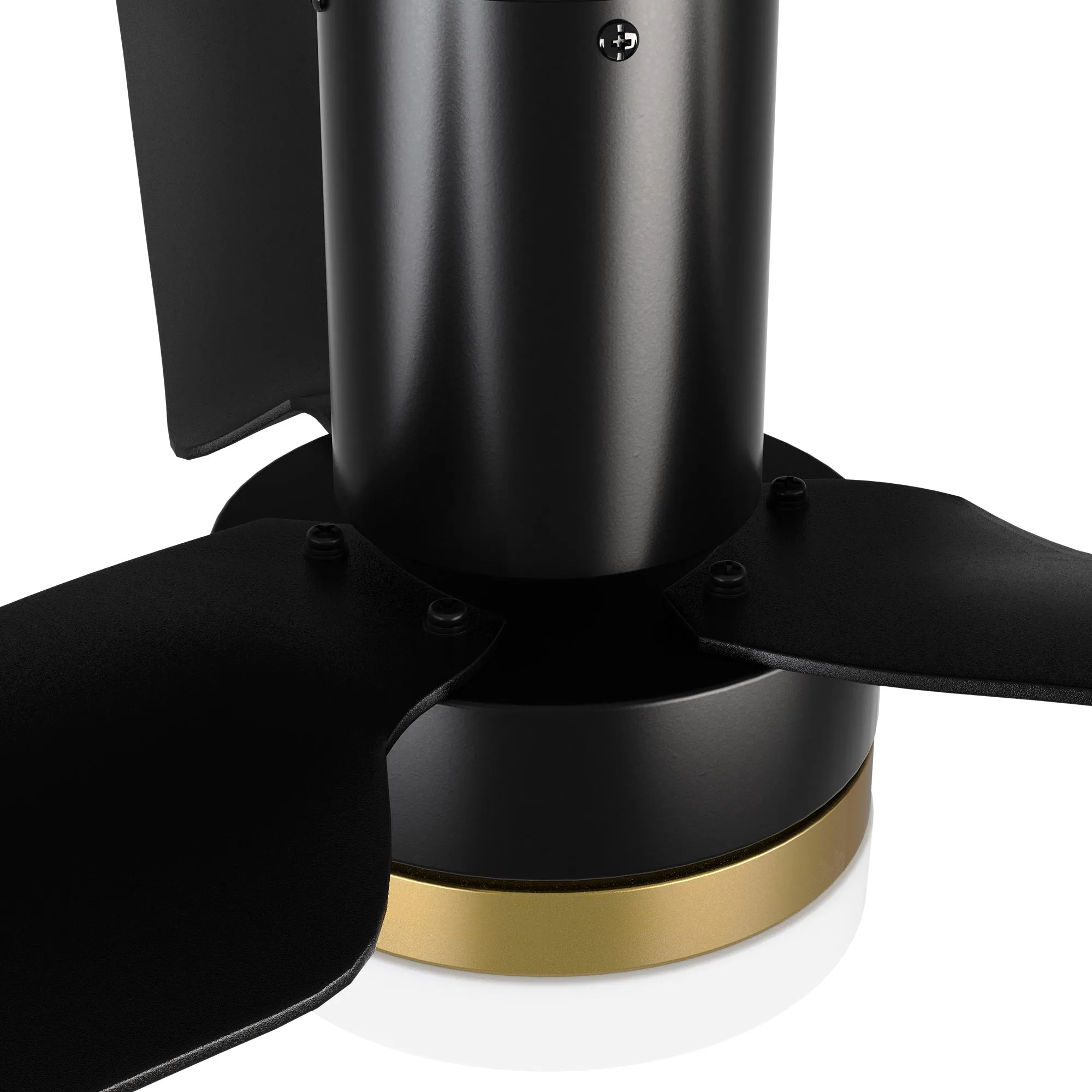 Topeka Low Profile Smart Ceiling Fan with LED Light and remote 52 inch