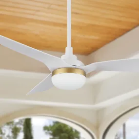 Visalia Smart Ceiling Fan with LED Light and Remote Outdoor/Indoor 52"